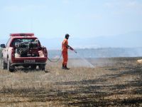 Alayköy’deki yangın kontrol altına alındı…
