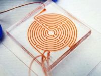 ODTÜ'De kanseri hızlı teşhis edebilen çip geliştirildi