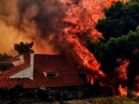 Avustralya'da orman yangınları