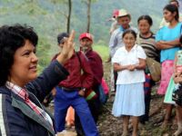 Dünyada geçen yıl 207 çevreci cinayete kurban gitti