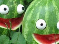 5. Doğancı Karpuz Festivali ile piknik alanının açılışı yarın akşam