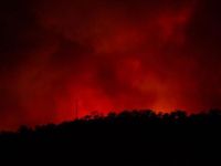 California'nın kuzeyinde yeni orman yangını