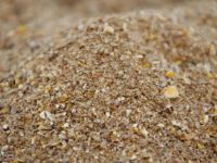 Tepebaşı’nda yem hırsızlığı