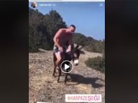 Videolu: Eşeğe EZİYET!