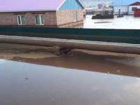 Moğolistan'da yıl başından bu yana meydana gelen sellerde 63 kişi yaşamını yitirdi