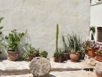 Güngördü: “Yıkılmaktan kurtardık, turizme kazandırdık”