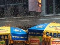 New York'ta Times Meydanı'na arı baskını