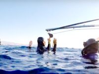 Uluslararası serbest dalışa Beydağlı ve Bıyıklı damgası