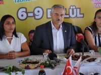 Tatlısu Harnup Festivali Perşembe akşamı başlıyor