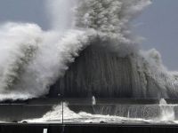 Japonya’da son 25 yılın en şiddetli tayfunu