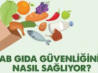 AB’nin Gıda Güvenliği Uygulamaları 3 şehirde konuşulacak