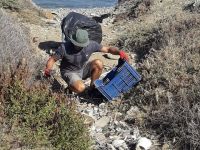 Çevre Koruma Dairesi, temizlik faaliyetleri sürüyor