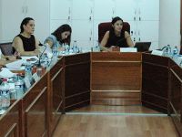 Cumhuriyet Meclisi Kamu Komitesi “İstatistik Kurumu Yasa Tasarısını” görüştü