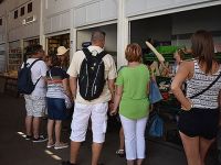 “Yerli üretimi öldürmeden ithalat yapılmalı”