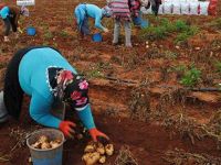 Stokçuluğa ithal çözüm