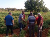 Tarım Dairesi, eğitim çalışmalarına Kalkanlı ile devam edecek