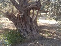 Salma sulama yasaklandı