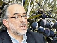 Zeytinin anavatanıyız ama ihracat sıfır!