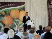 Karaca: “Narenciye alanları 70 binlerden 30 bin dönümlere düştü”