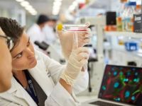 Avustralya'da rahim ağzı kanseri ile mücadelede önemli başarı