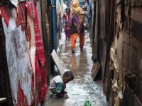 Hindistan, Arakanlı Müslümanları sınır dışı ediyor