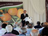 Narenciye çalıştayı sona erdi... En büyük sorun sulama suyu yetersizliği