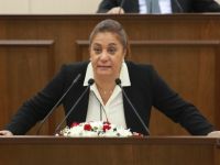 Manavoğlu: "Ülkeye giriş çıkışlar laçka oldu"