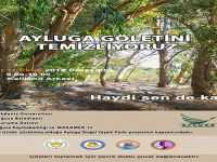 Ayluga Göleti temizlenecek