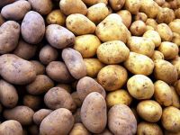 TÜK, ithal sofralık patates satışına başladı