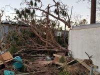 ABD'de Mıchael kasırgasında ölenlerin sayısı 26'ya yükseldi