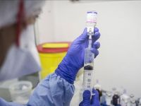 Hindistan'da domuz gribi 6 can aldı