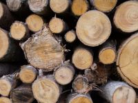 Ormancılar Derneği: “Odun satışları denetlenmeli”