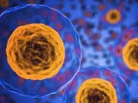 Yeni bir insan hücresi yapısı keşfedildi