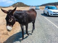 Fotoğraf çekerken düşüp ağır yaralandı