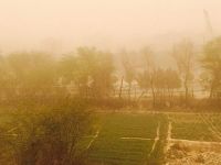 İran'da toz fırtınası 120 kişiyi hastanelik etti