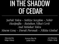 “Sedirin Gölgesinde”, Bushman Film Festivali’nde yarı finalist...