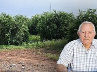 "Bahçeler susuzluktan kurumaya terk edildi"