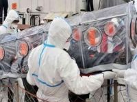 Hindistan'da domuz gribi vakaları artıyor