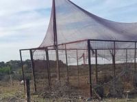 Kümesten keklik çaldılar