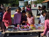 Çatalköy’de KHYD yararına etkinlik...