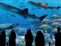 Avrupa'nın en büyük tatlı su akvaryumu açıldı