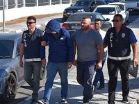 Zeytin ağacı kestiler, tutuklandılar