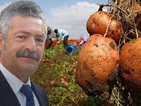 Patateste rant kavgası!