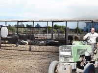 Ürüne su, hayvana ot yok!