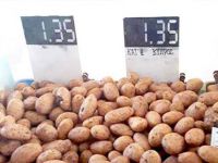 Güney’de daha ucuz