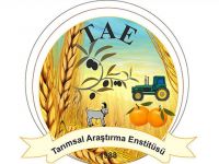 Meyve ağaçlarında uygulamalı budama ve aşılama tekniklerinin eğitimi verilecek