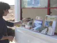 Derinya sınır kapısı geçişlere açıldı