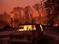 California'daki orman yangınında hayatını kaybedenlerin sayısı 79'a yükseldi