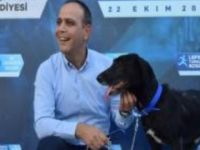 Yaralı halde bulunan ve Harmancı’nın sahiplendiği köpek için yuva da yaptırıldı