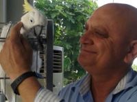 Mutluyaka’ya ateş düştü